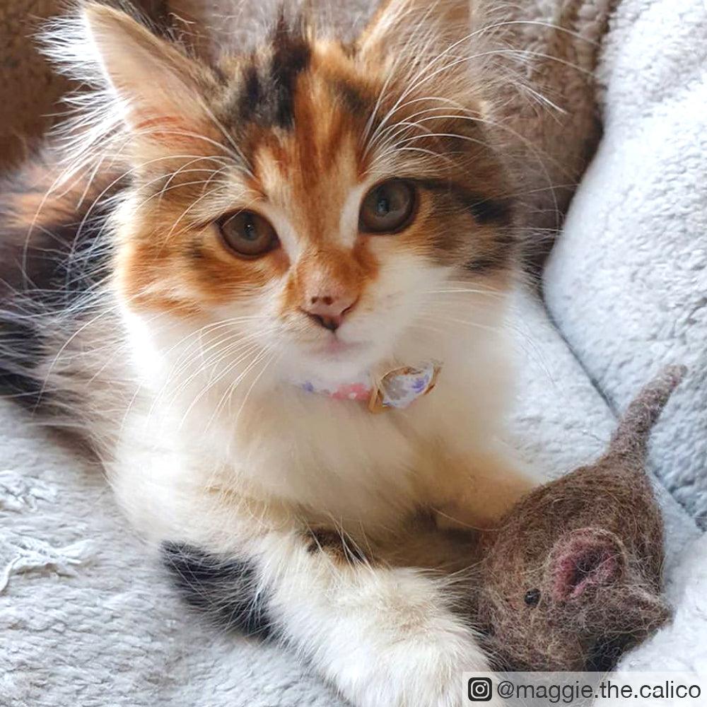 Cat Toy - Mouse - Various Colours