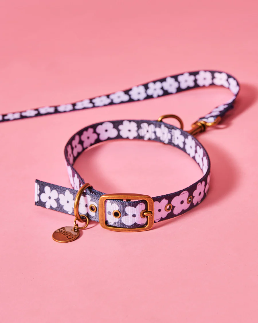 Flower Face Dog Collar - Small and Large