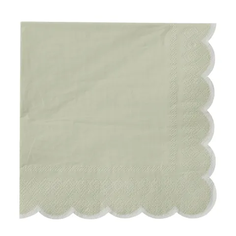 Halcyon Mint Napkins 20pk