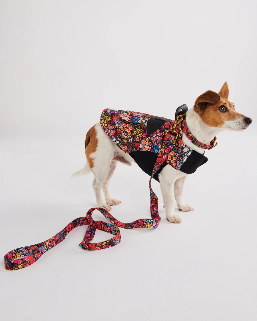 Forever Floral Dog Lead - Large