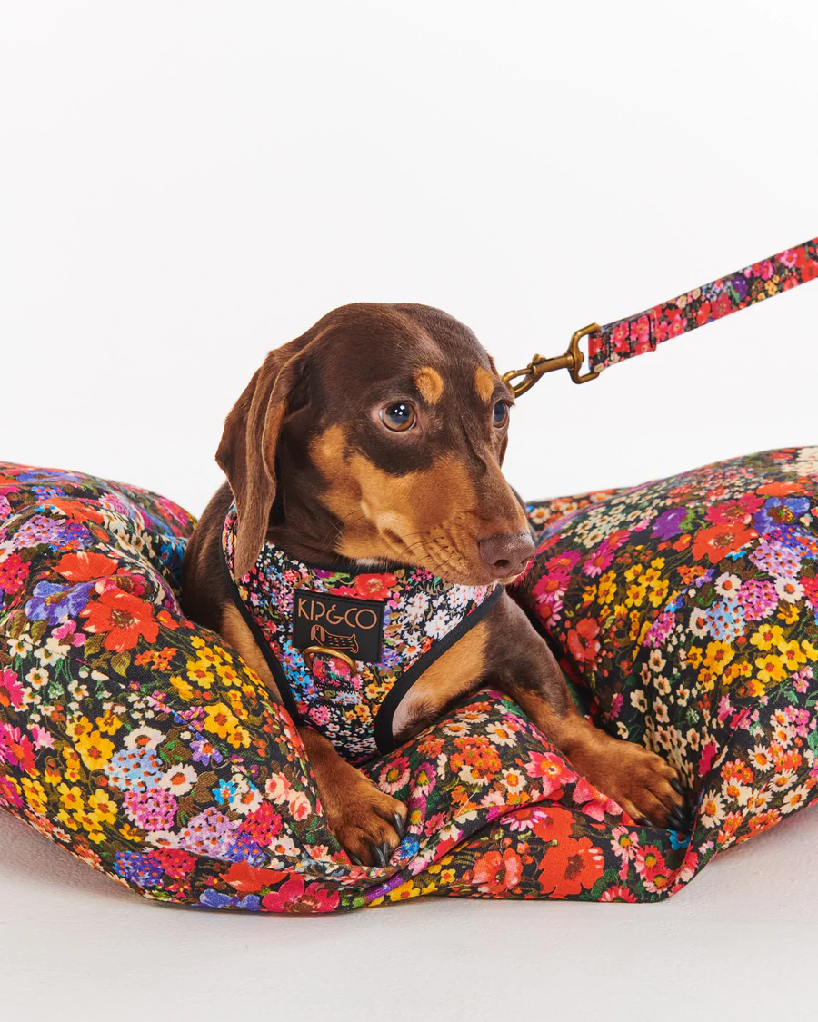 Forever Floral Dog Lead - Large