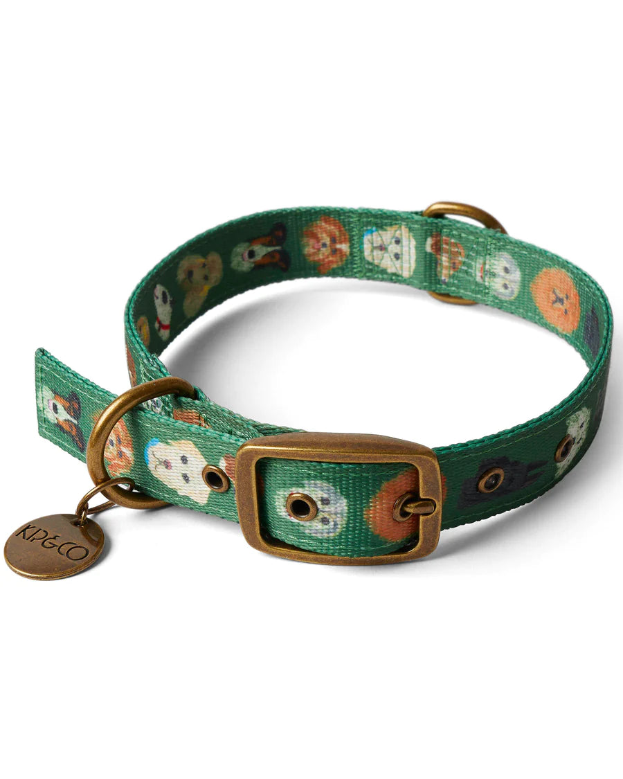 Dog Park Dog Collar - Small and Large