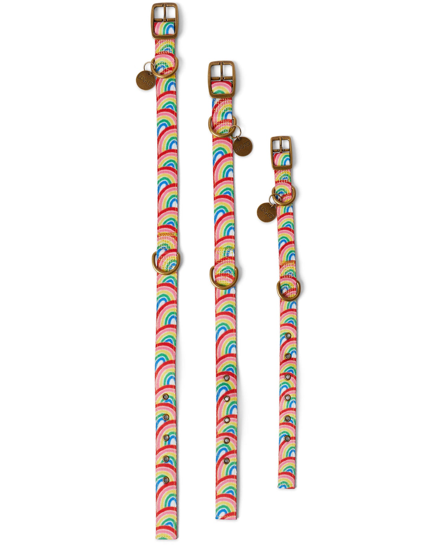 Rainbow Spray Dog Collar - Small + Large