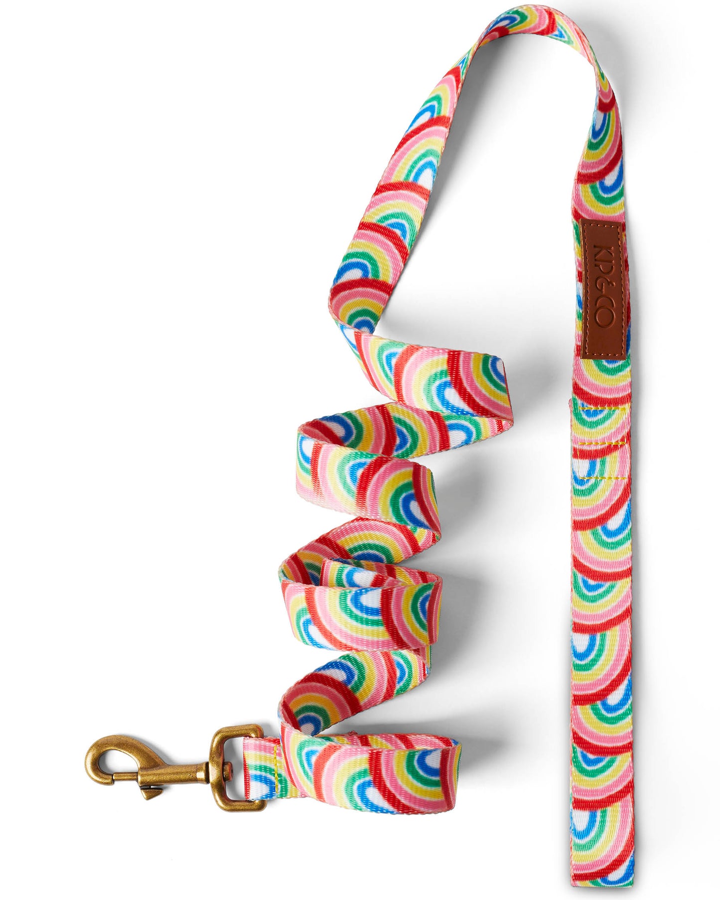 Rainbow Spray Dog Lead - Large