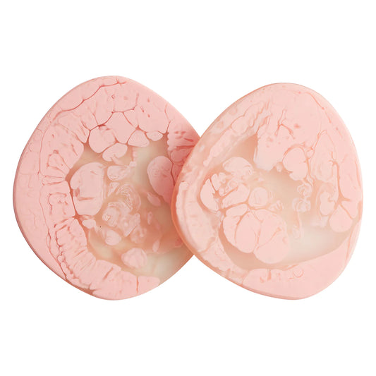 Fenella Coasters Set of 2 - Sherbet