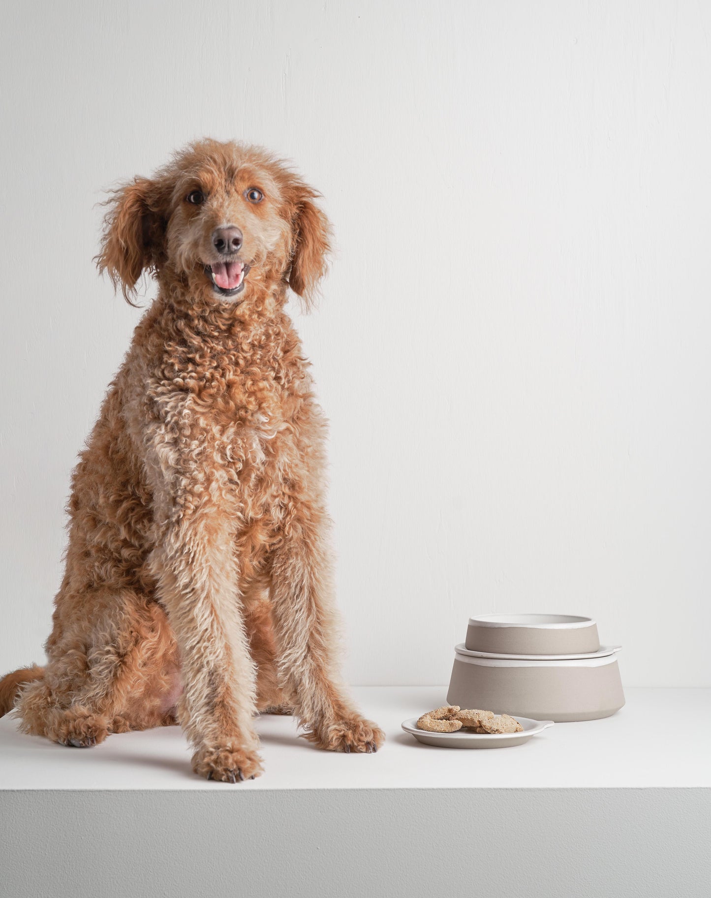Bowl W/Lid - Small Furry Friends