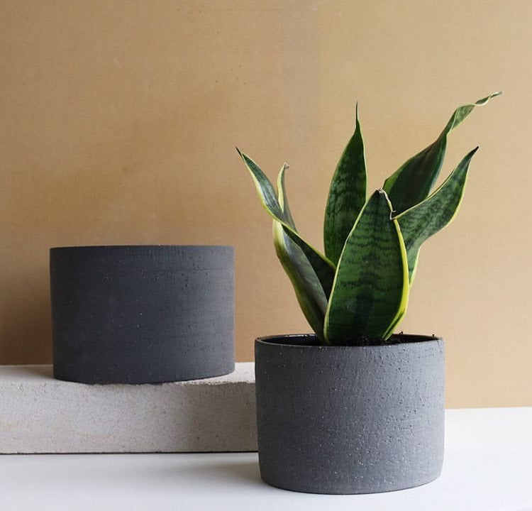 Luna Planter Pot With Tray