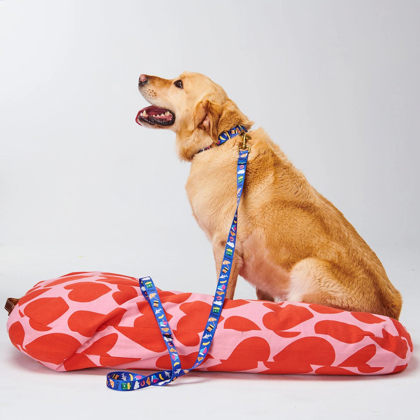 Aussie Icons Dog Collar
