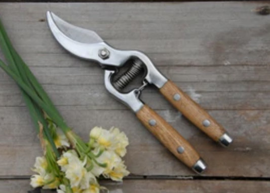 Ash Handled Secateurs