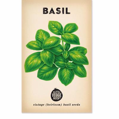 Basil 'Large Sweet Genova" Seeds