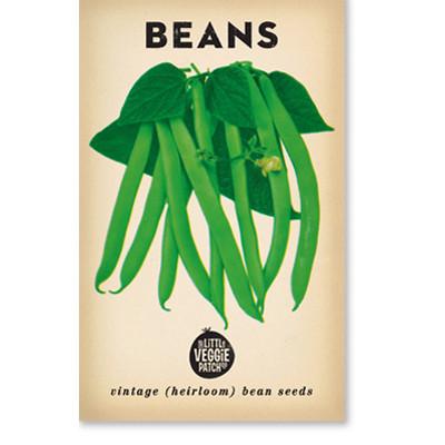 Beans 'Windsor Long Pod" Seeds