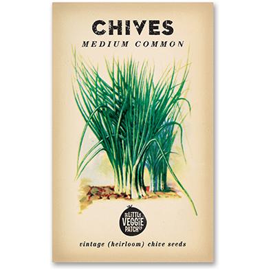 Chives 'Medium Common' Seeds