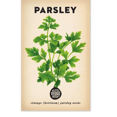 Parsley 'Italian' Seeds