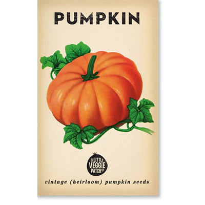 Pumpkin 'Small Sugar' Heirloom Seeds